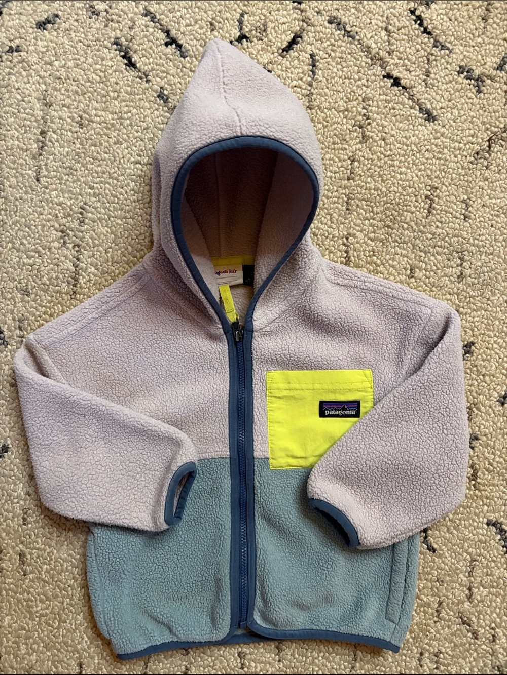 Patagonia Kids Fleece Jacket (2T) EUC